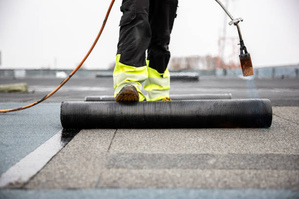 Best Roof Moss and Algae Removal  in Twin Lakes, VA