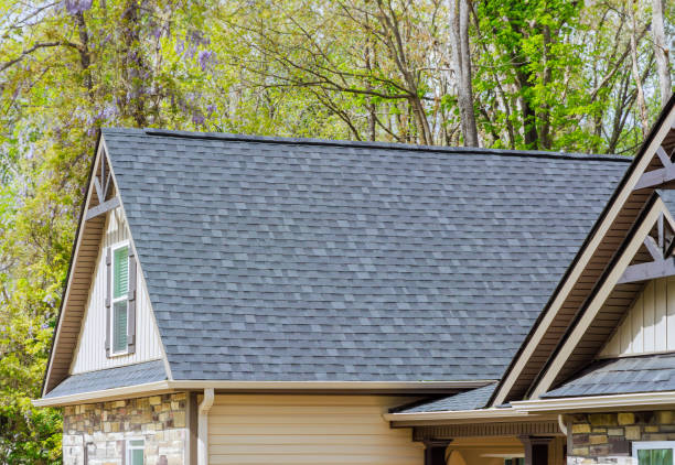 Best Roof Insulation Installation  in Twin Lakes, VA